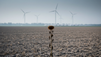 Weltklimarat warnt: Klimawandel beschleunigt sich – Handlungsdruck wächst